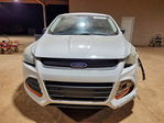 Ford Escape 2016