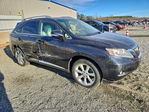 Lexus RX 2010