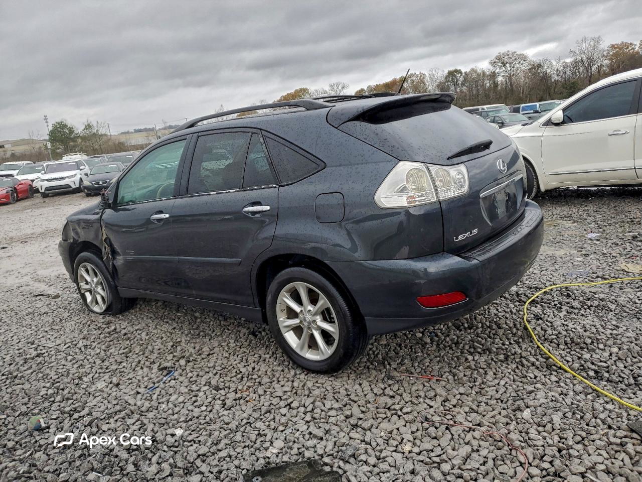 Lexus RX 2009