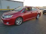 Lexus HS 2010