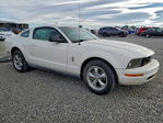 Ford Mustang 2008