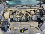Ford Edge 2024