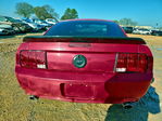 Ford Mustang 2006
