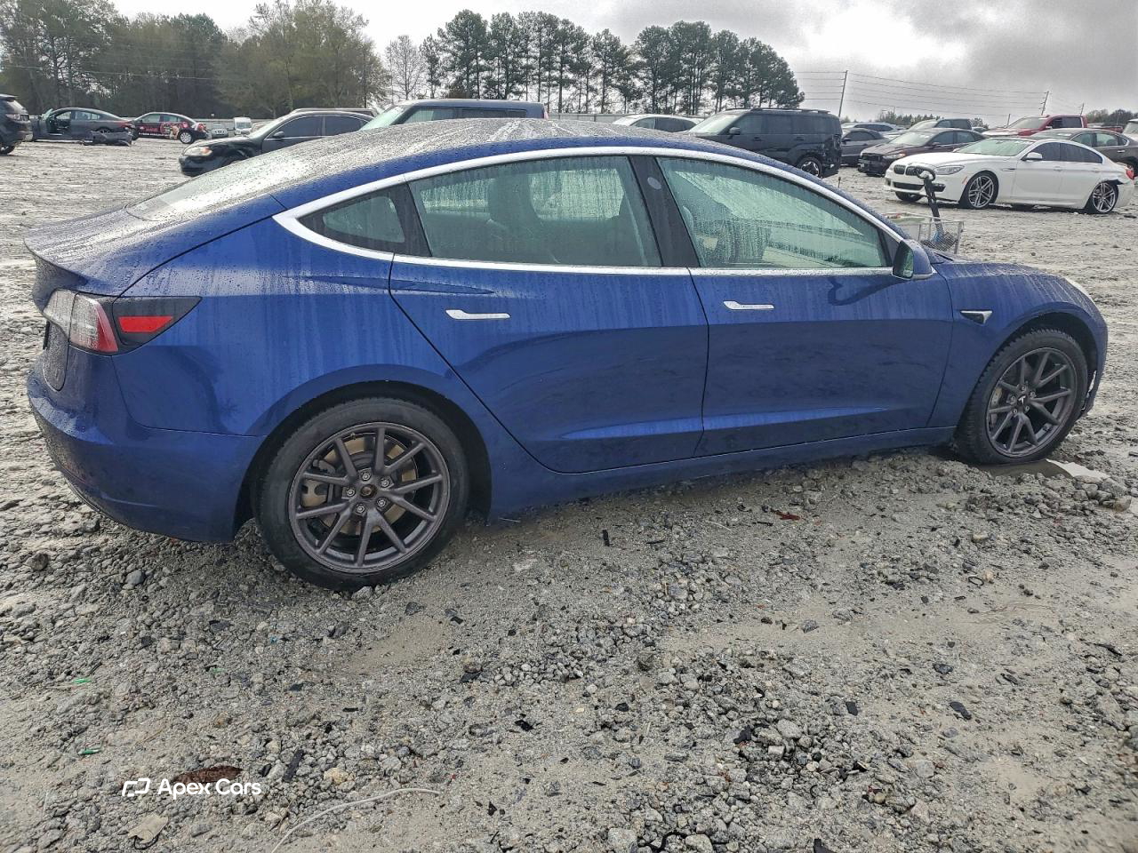 Tesla Model 3 2019