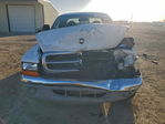 Dodge Dakota 1998