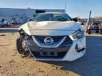Nissan Maxima 2017