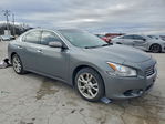 Nissan Maxima 2014