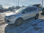 Ford Escape 2016