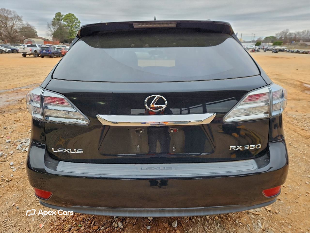 Lexus RX 2010