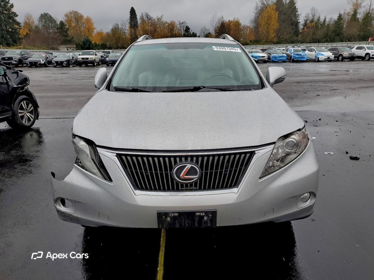 Lexus RX 2010