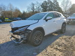 Lexus NX 2026