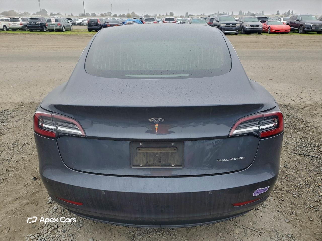 Tesla Model 3 2019