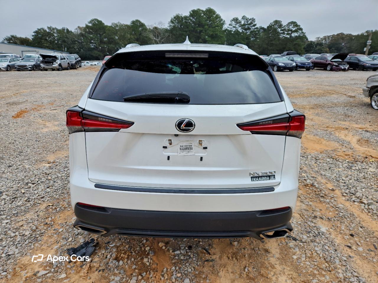 Lexus NX 2019