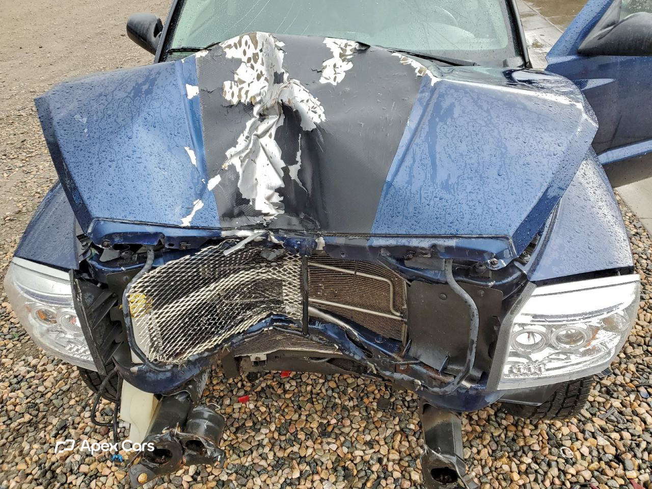 Dodge Dakota 2005
