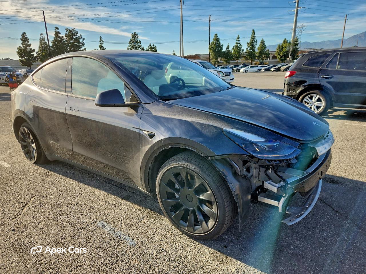 Tesla Model Y 2024