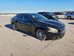 Nissan Maxima 2011