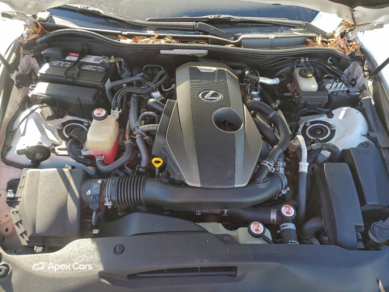 Lexus IS 2017
