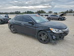 Honda Accord 2016