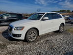 Audi Q5 2010