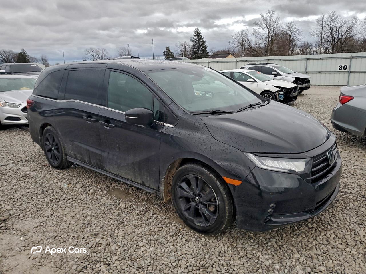 Honda Odyssey 2023