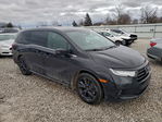 Honda Odyssey 2023