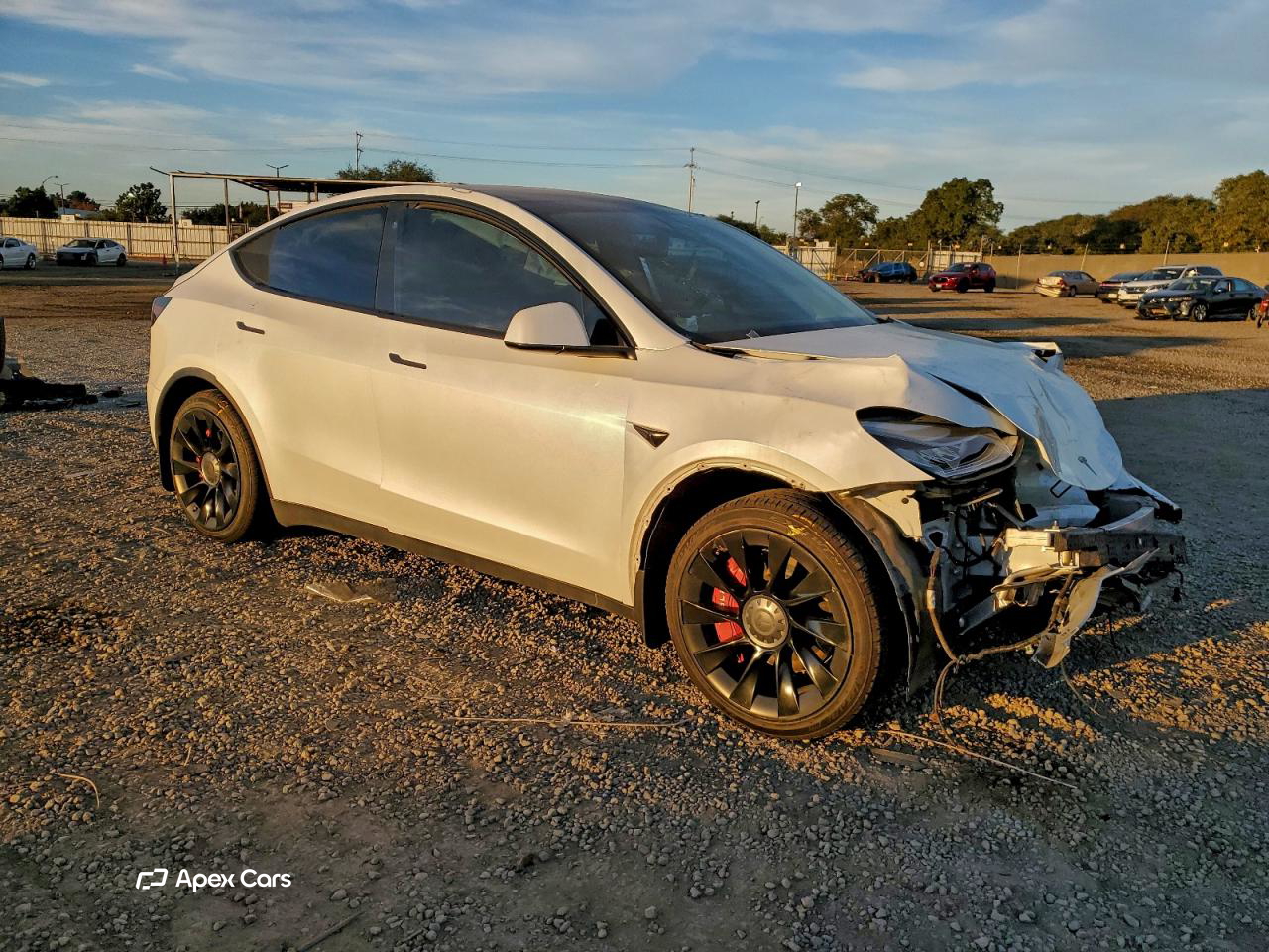 Tesla Model Y 2021