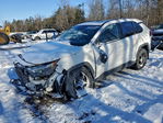Toyota RAV 4 2025