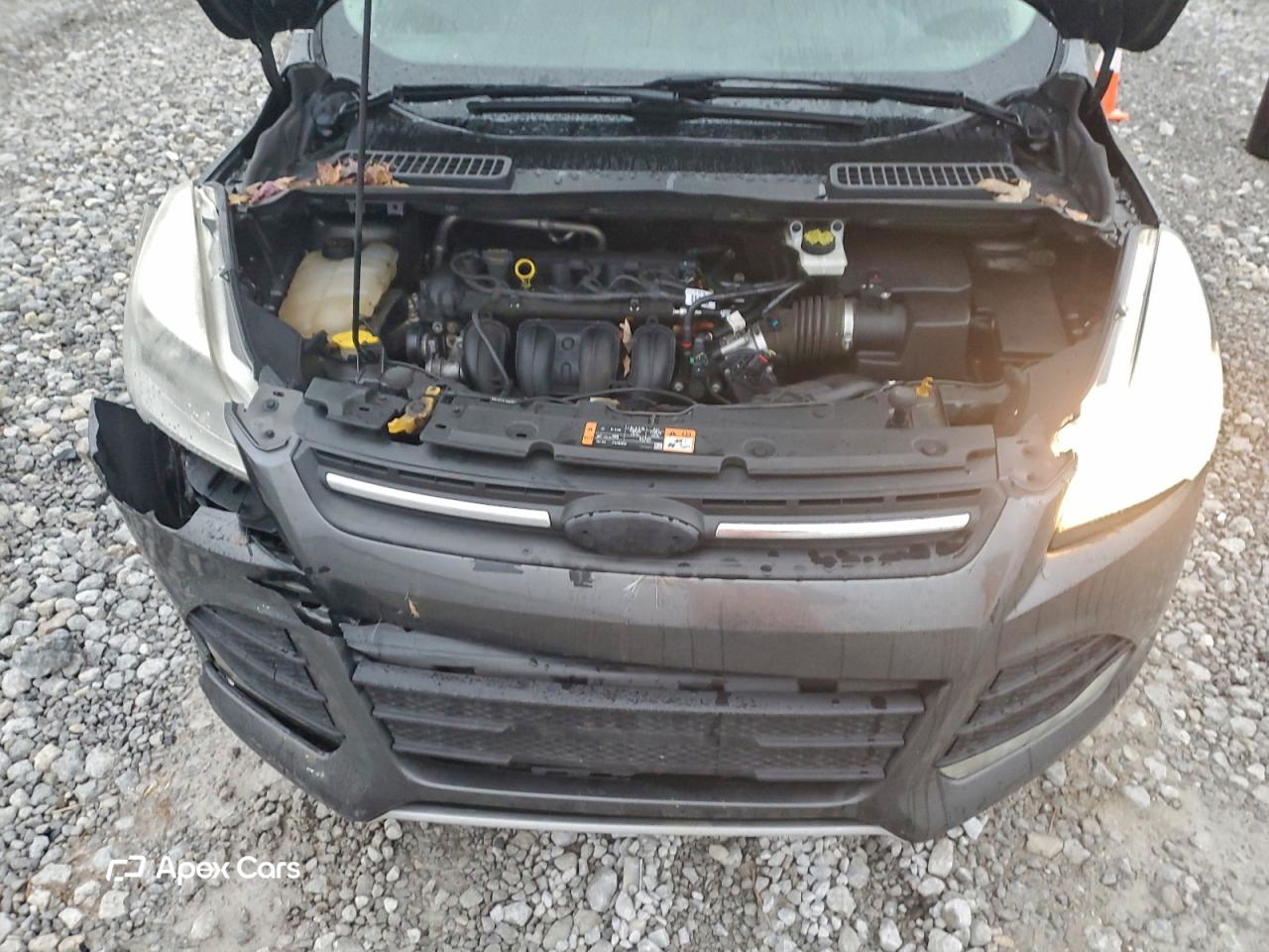 Ford Escape 2015