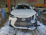 Lexus NX 2024