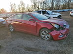 Hyundai Sonata 2013