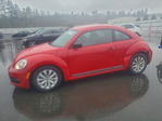 Volkswagen Beetle 2014