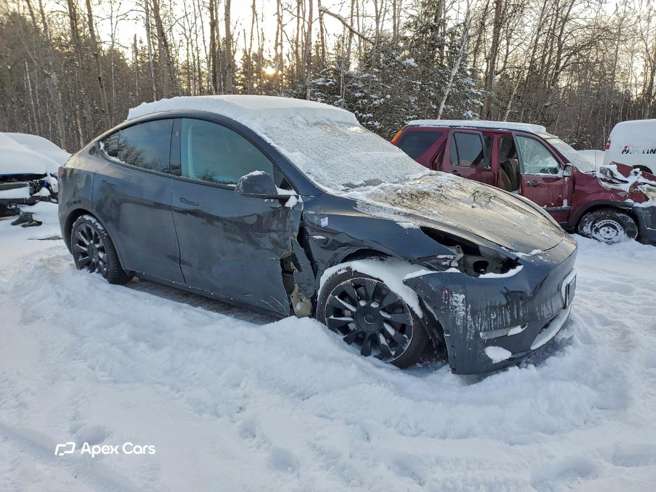 Tesla Model Y 2025