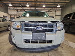 Ford Escape 2009