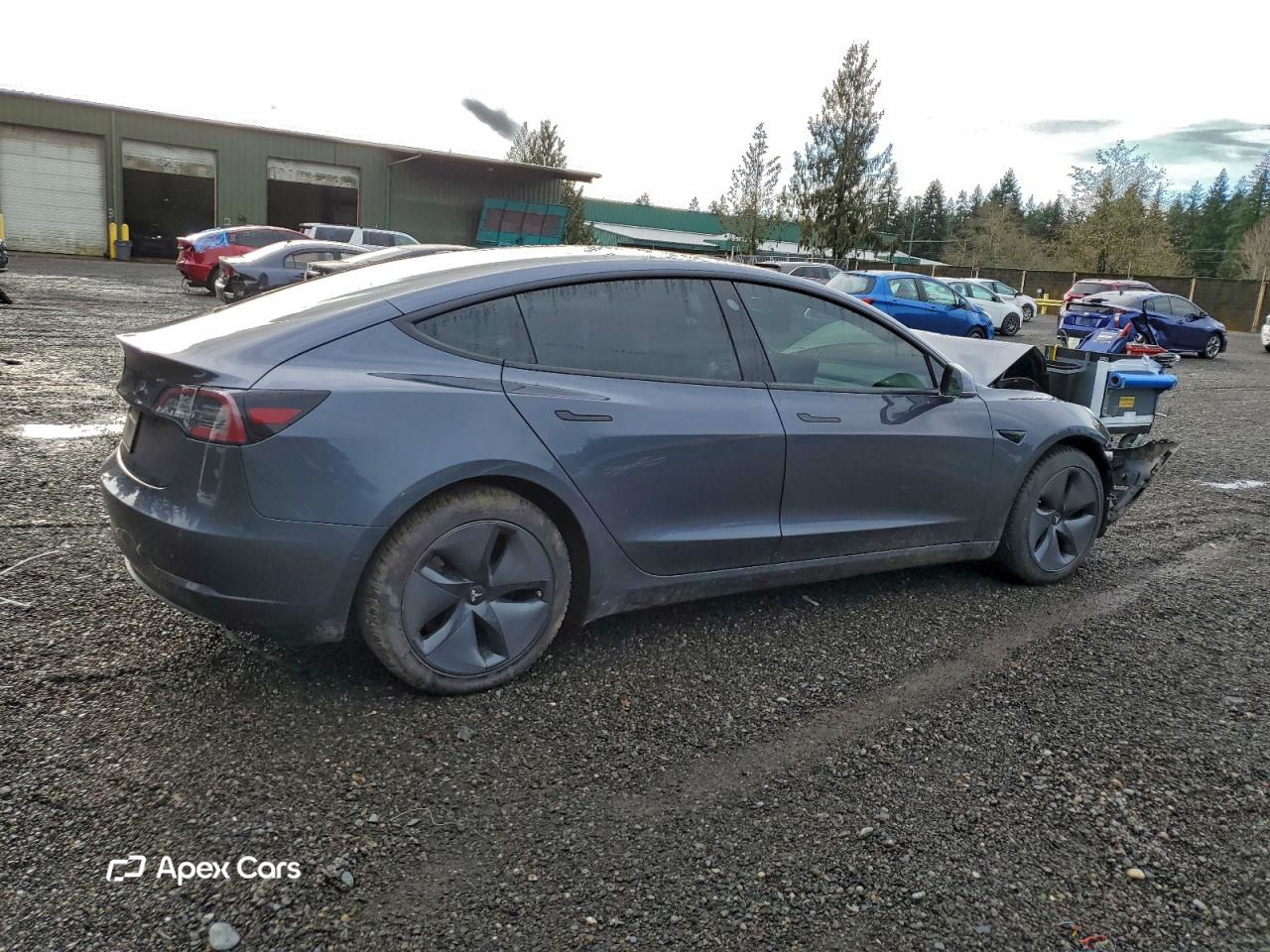 Tesla Model 3 2020