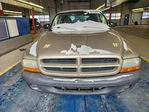 Dodge Dakota 2003