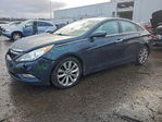 Hyundai Sonata 2013