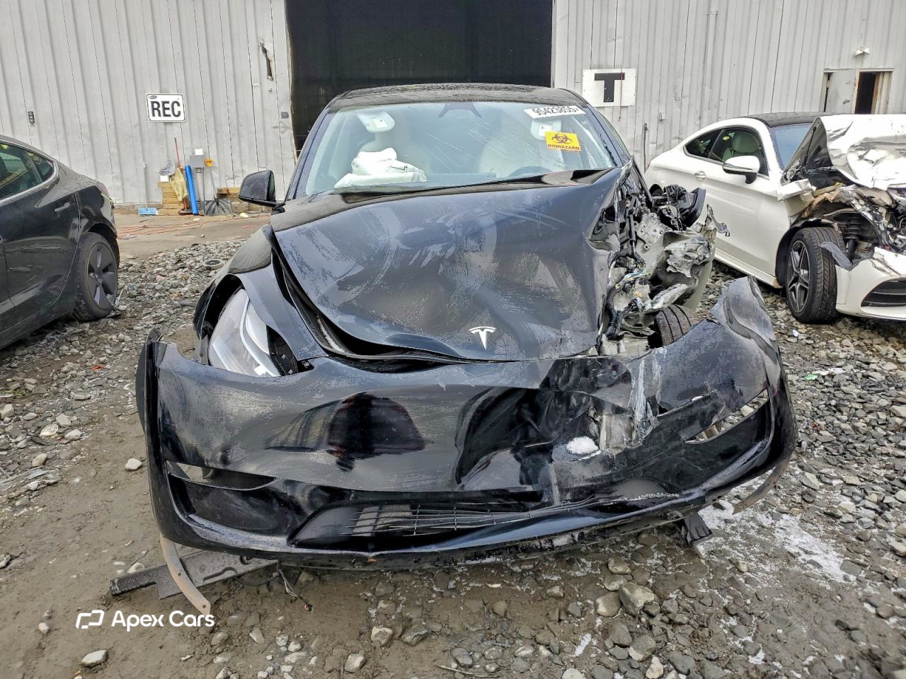 Tesla Model Y 2024