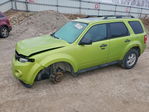 Ford Escape 2011