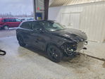 Dodge Hornet 2024