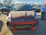 Ford Escape 2014