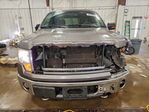 Ford F-150 2010