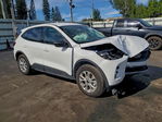 Ford Escape 2025