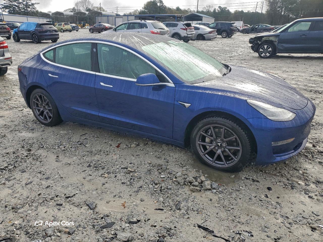 Tesla Model 3 2019