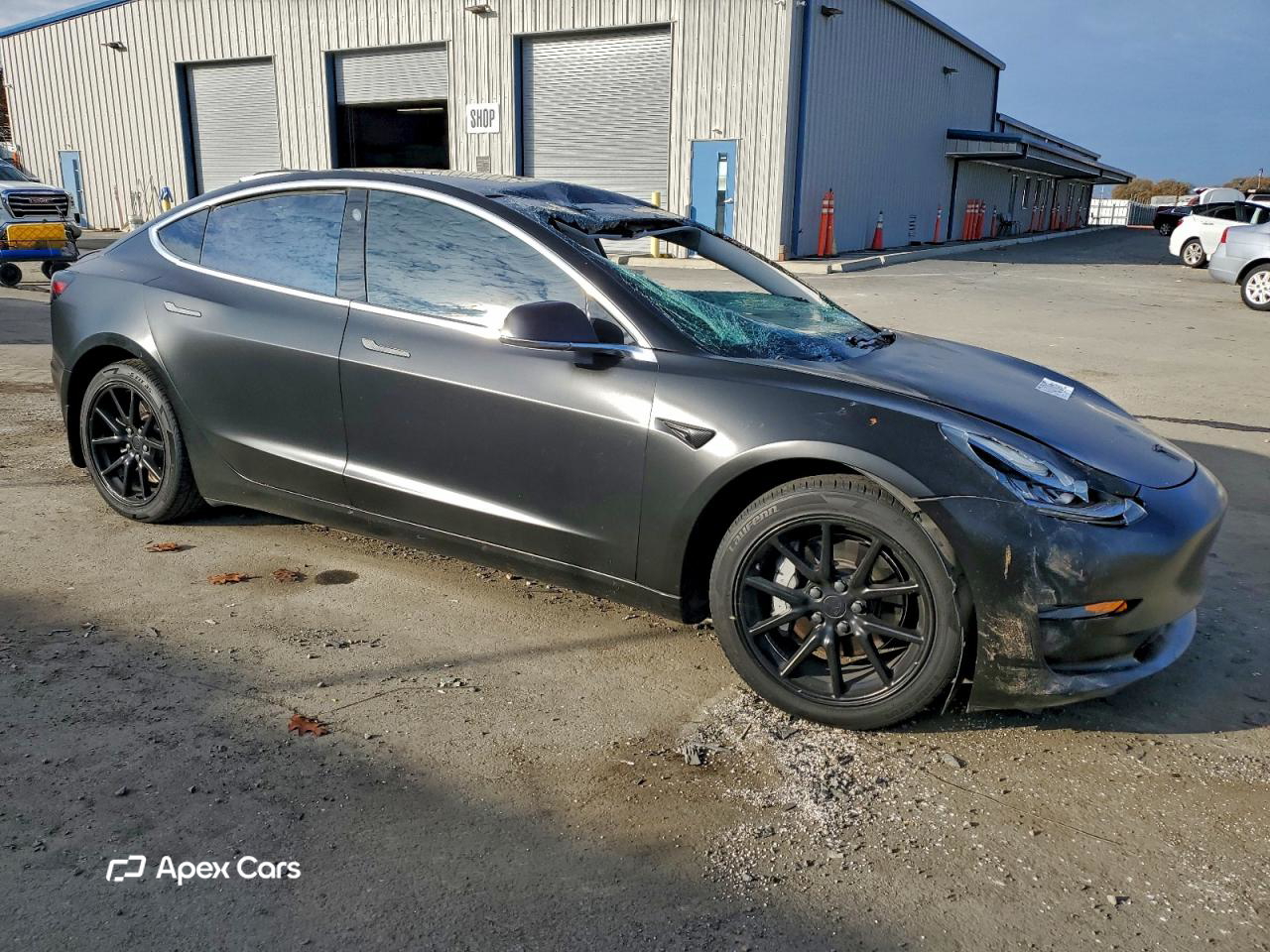 Tesla Model 3 2019