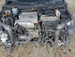 Lexus RX 2010