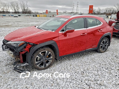 Lexus UX 2021 - Zdjęcie 1 z 15