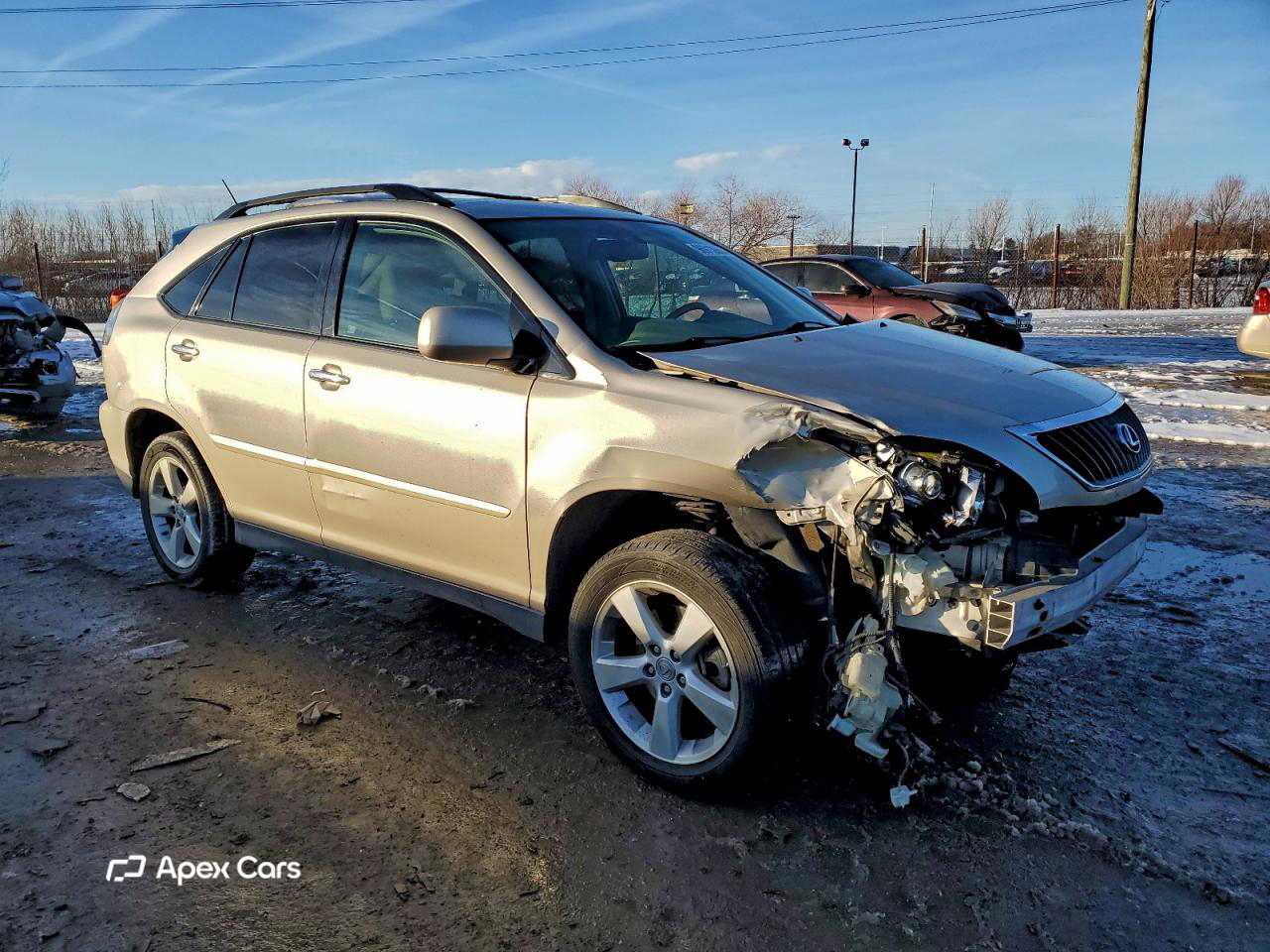 Lexus RX 2008