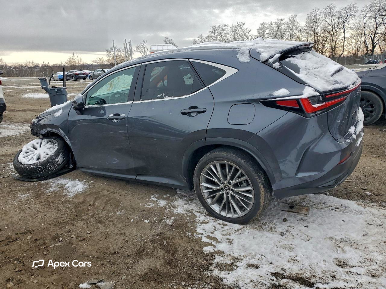Lexus NX 2024