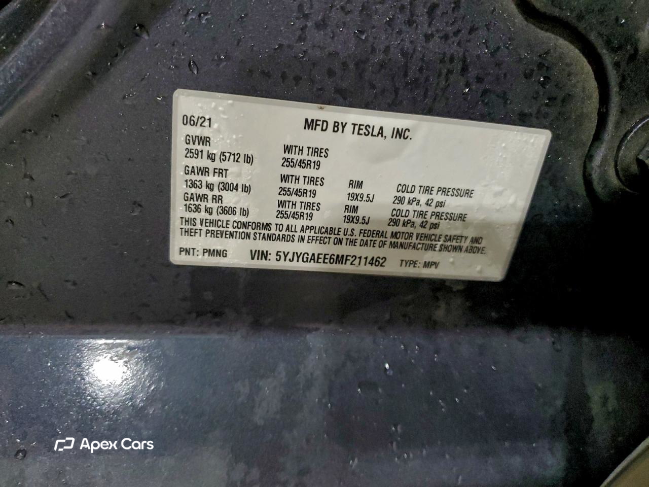 Tesla Model Y 2021