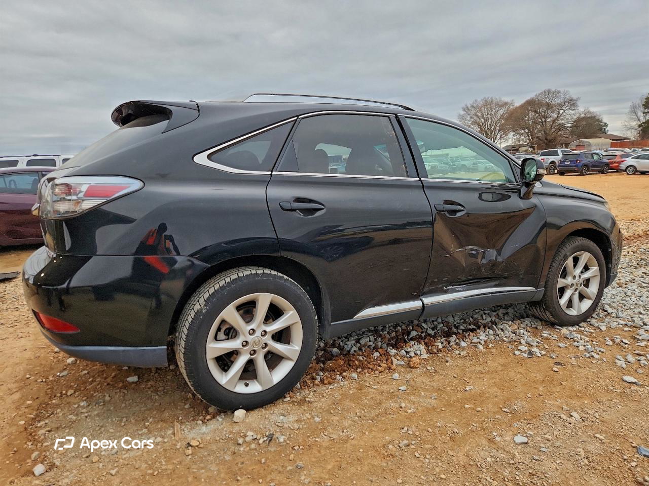 Lexus RX 2010